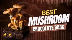 Buy Magic Mushroom Chocolate Online USA, Buy Magic Mushroom Chocolate Online, Buy Magic Mushroom Chocolate