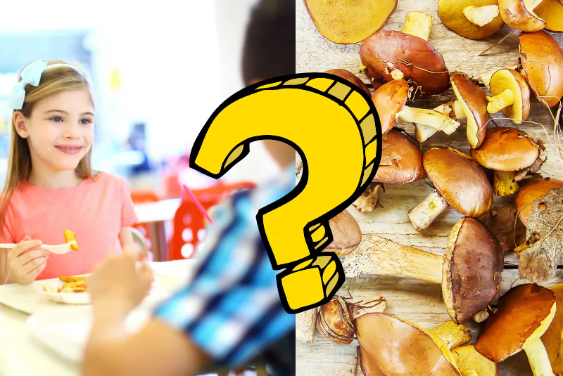 Can Kids Eat Mushroom Chocolate? (Parents’ Guide)