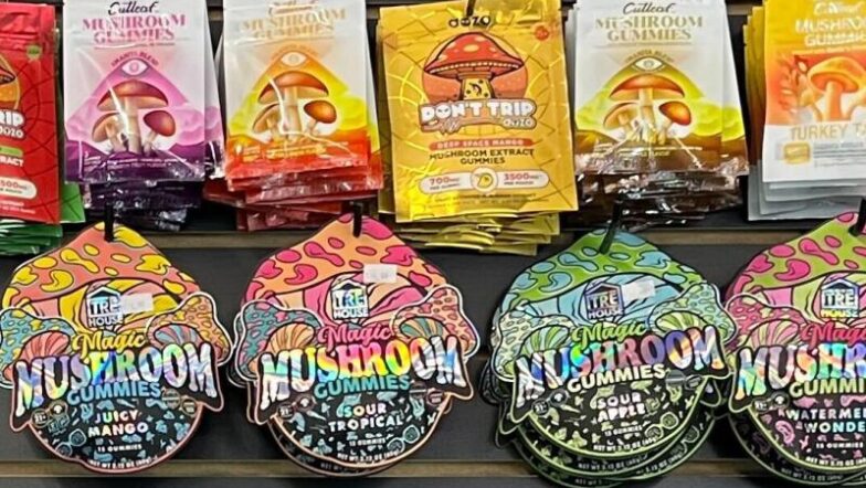 Best Vegan & Gluten-Free Mushroom Chocolate Brands, Vegan & Gluten-Free Mushroom Chocolate Brands, Vegan Mushroom Chocolate