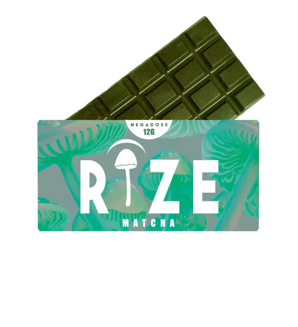 Rize Mushroom Bar 