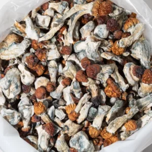 Buy B+ Magic Mushroom, B+ Mushroom, B+ magic Mushroom, b+ mushroom strain, B+ psilocybin Mushroom, B+ Magic Mushroom for sale, Buy B+ mushroom