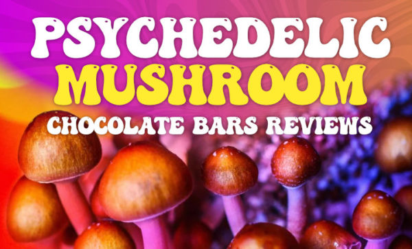 Psychedelic Mushroom Chocolate Benefits for Mental Health